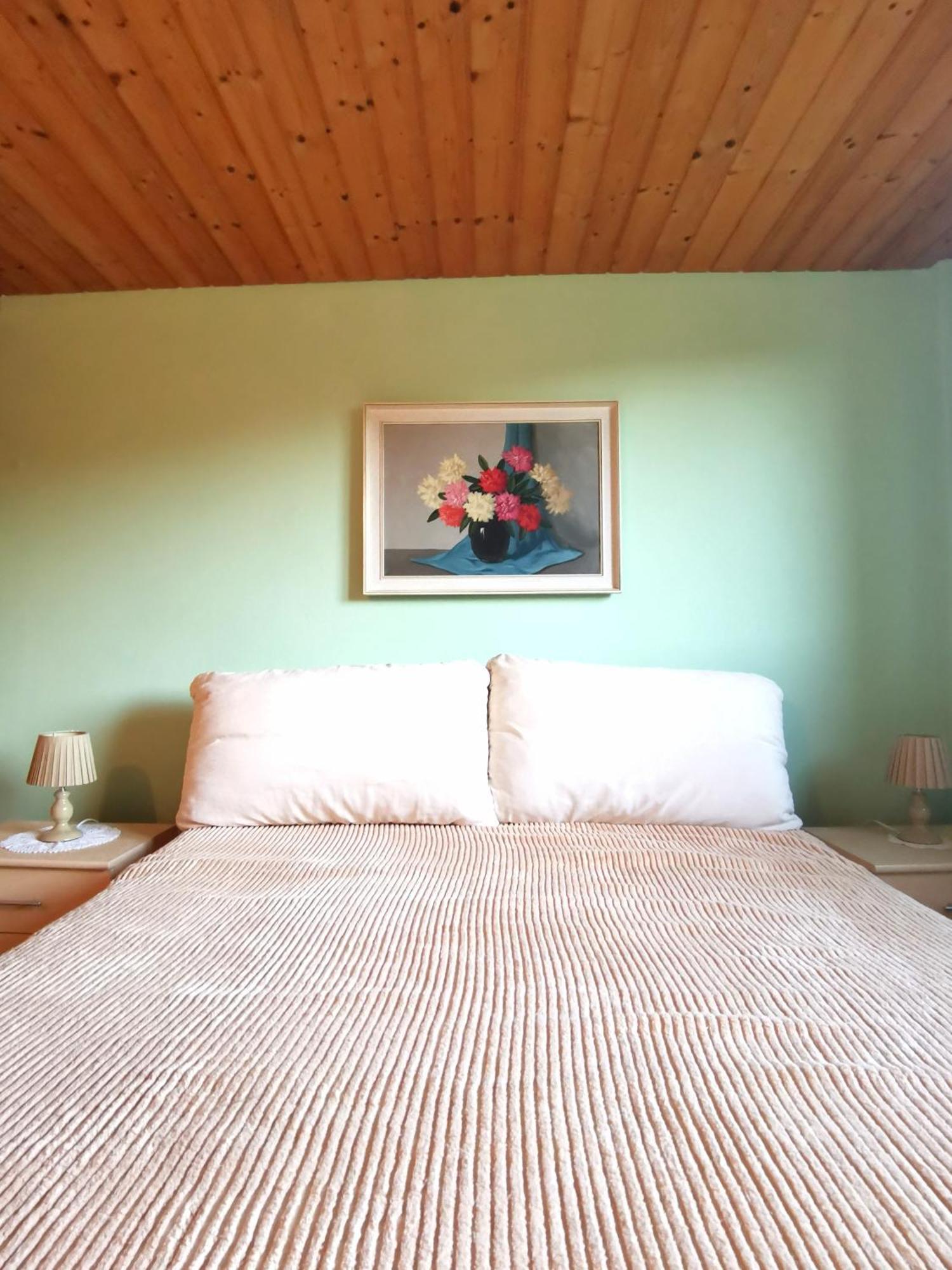 Grosses Ferienhaus Plattensee Balaton - Nyaralo Haz 6 Szobaval, 5 Fuerdoszobaval, 3000 Nm Apartment Szolad Екстериор снимка